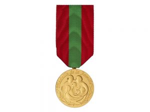 Médaille de la famille 53